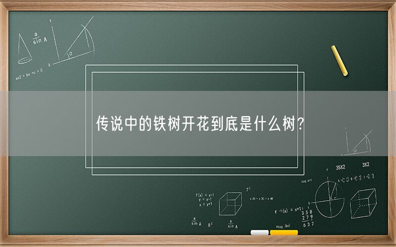 传说中的铁树开花到底是什么树？